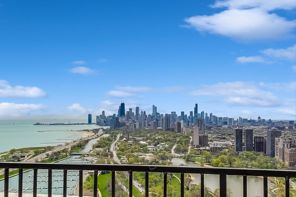 2800 N Lake Shore Drive - Photo 19