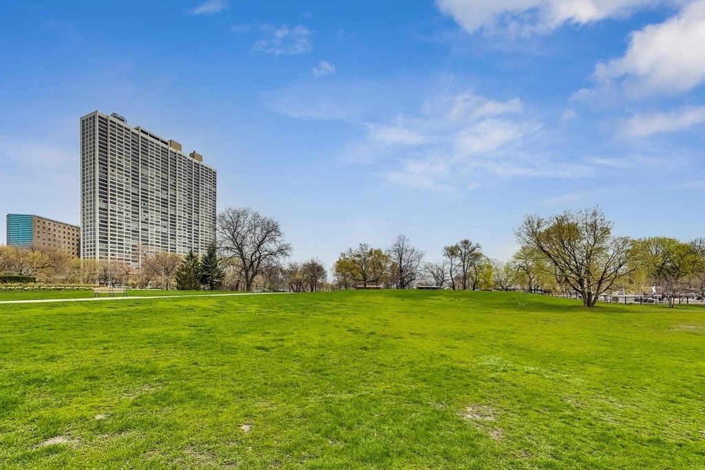 2800 N Lake Shore Drive - Photo 30