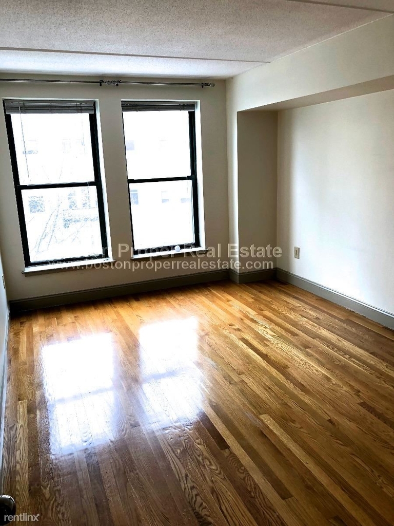 108 Peterborough St Apt 5j - Photo 4