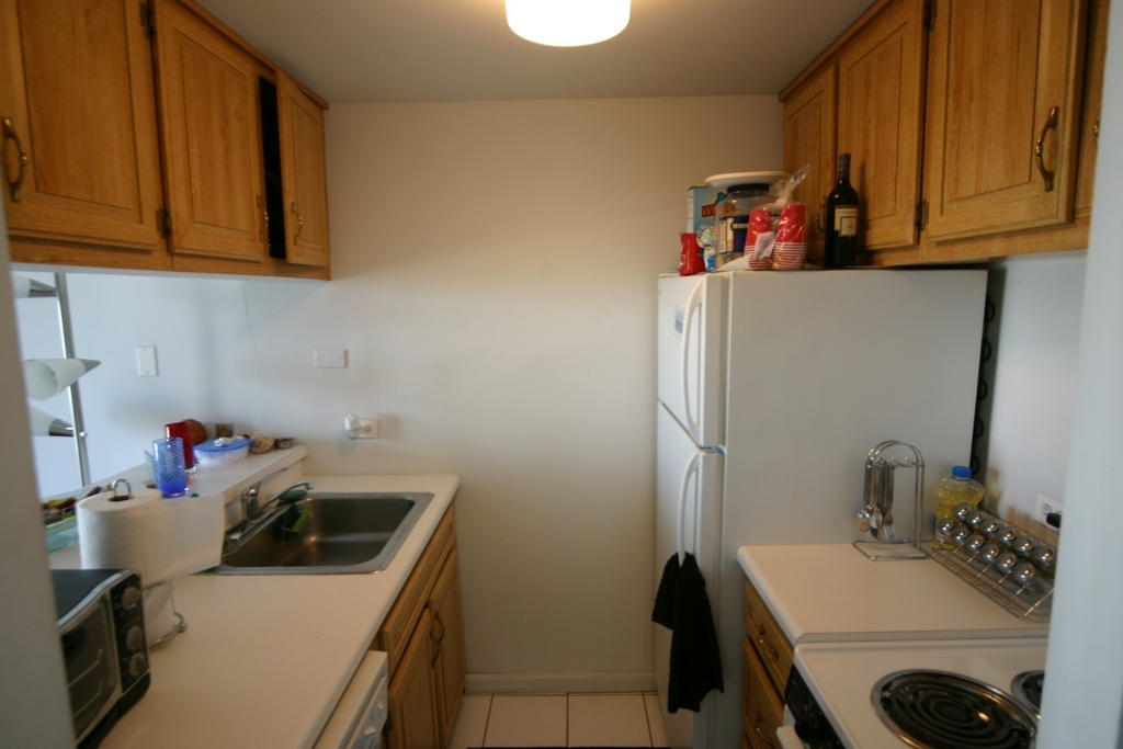 1221 N Dearborn Parkway - Photo 3