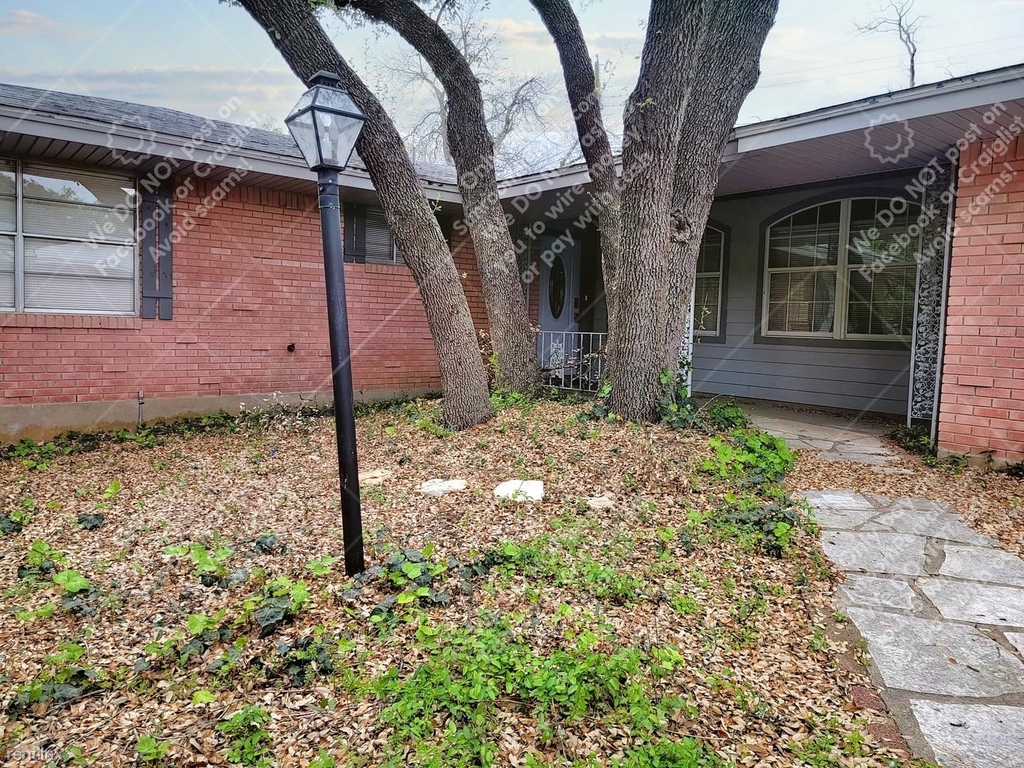 904 Palmetto St - Photo 2