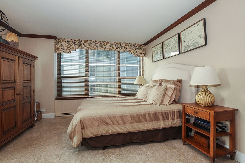 1550 N Lake Shore Drive - Photo 21