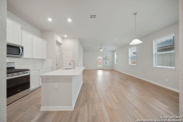 12923 Irvin Path - Photo 14