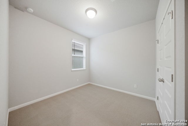 12923 Irvin Path - Photo 24