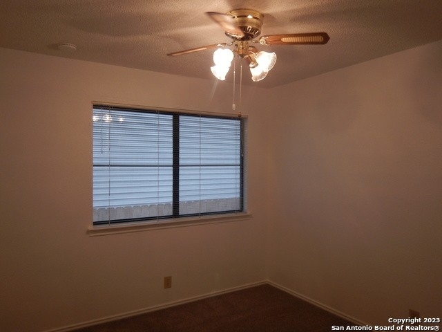 5906 Spring Crossing - Photo 11