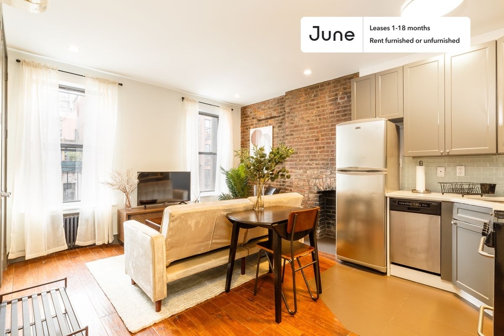 346 West 52nd Street - Photo 4