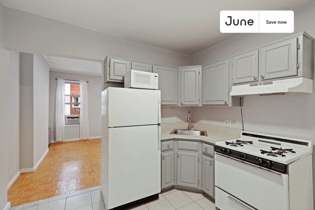 306 East 83rd Street - Photo 1