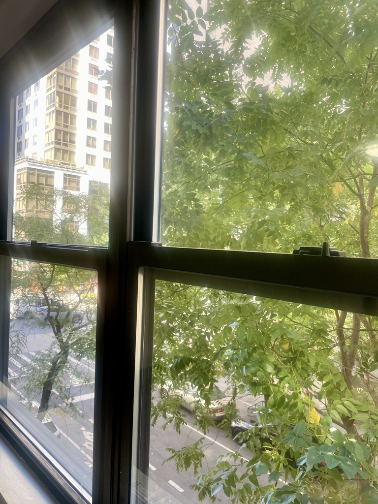 East 89th Street - Photo 1