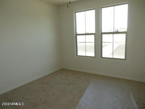 16914 S 180th Avenue - Photo 10