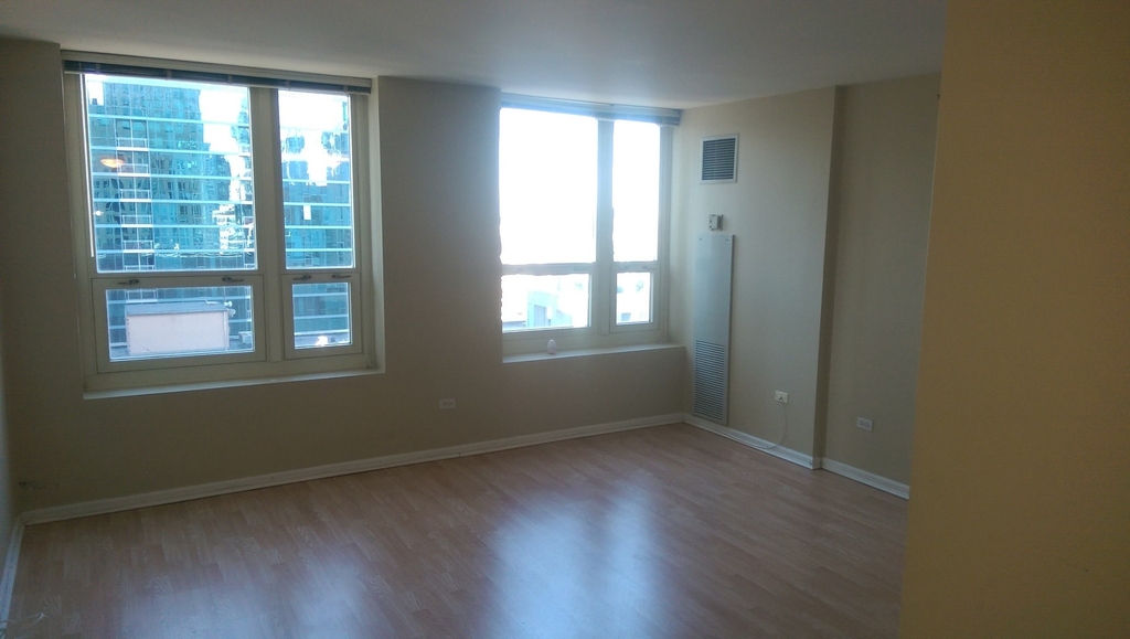 345 N La Salle Drive - Photo 1