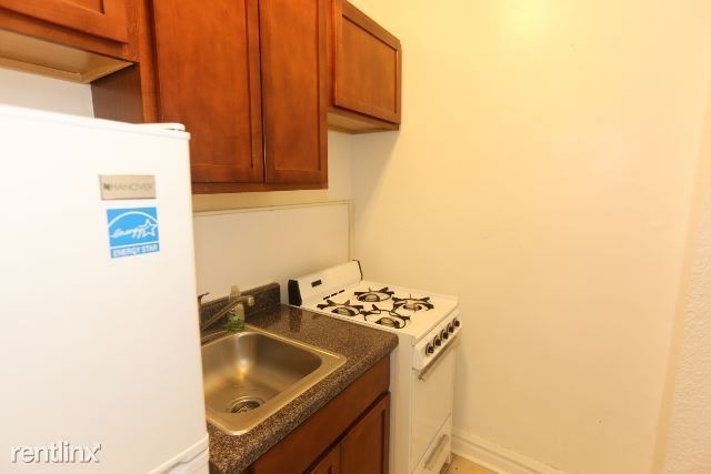 4829 N. Damen, Unit 402 - Photo 2