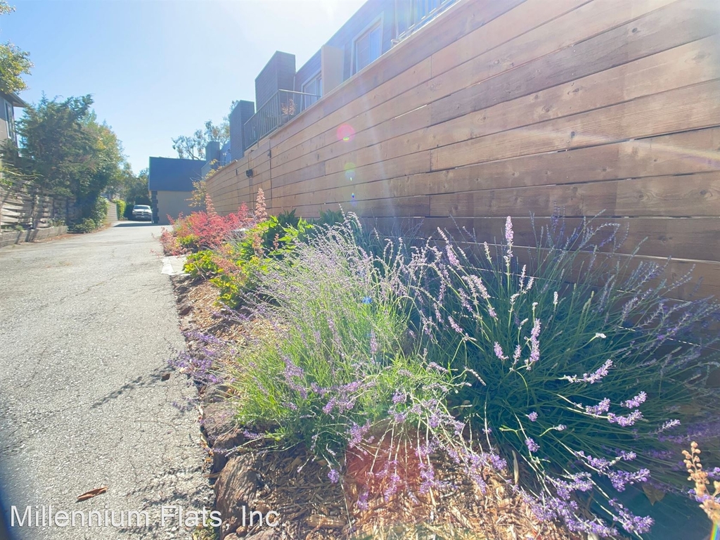 2712 Flores Street - Photo 21