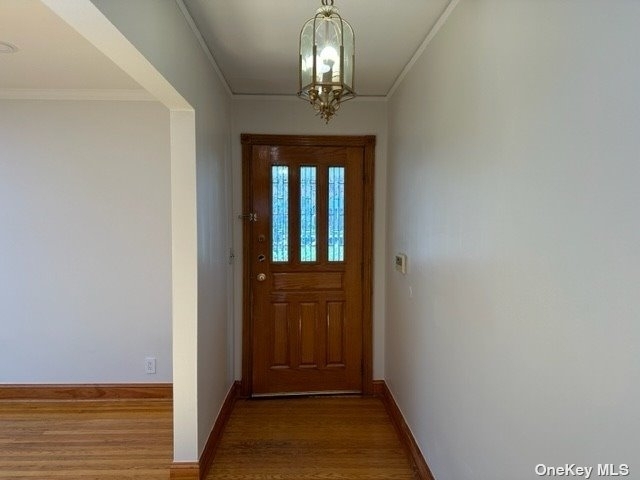 45 Brampton Lane - Photo 1