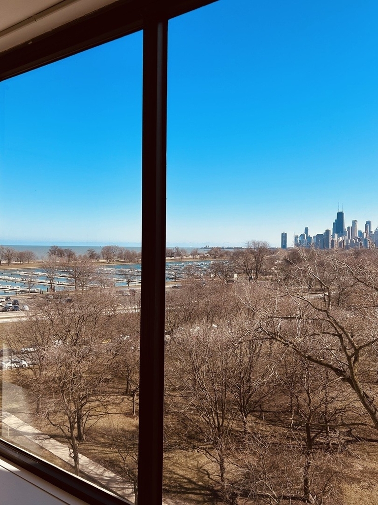 2800 N Lake Shore Drive - Photo 15