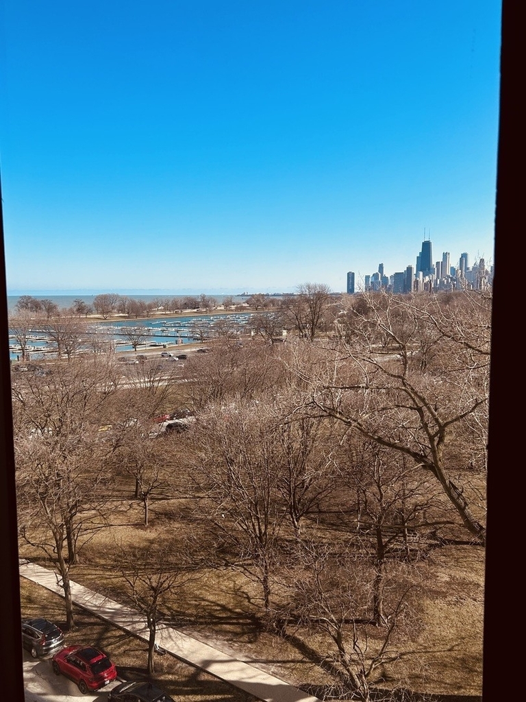 2800 N Lake Shore Drive - Photo 10