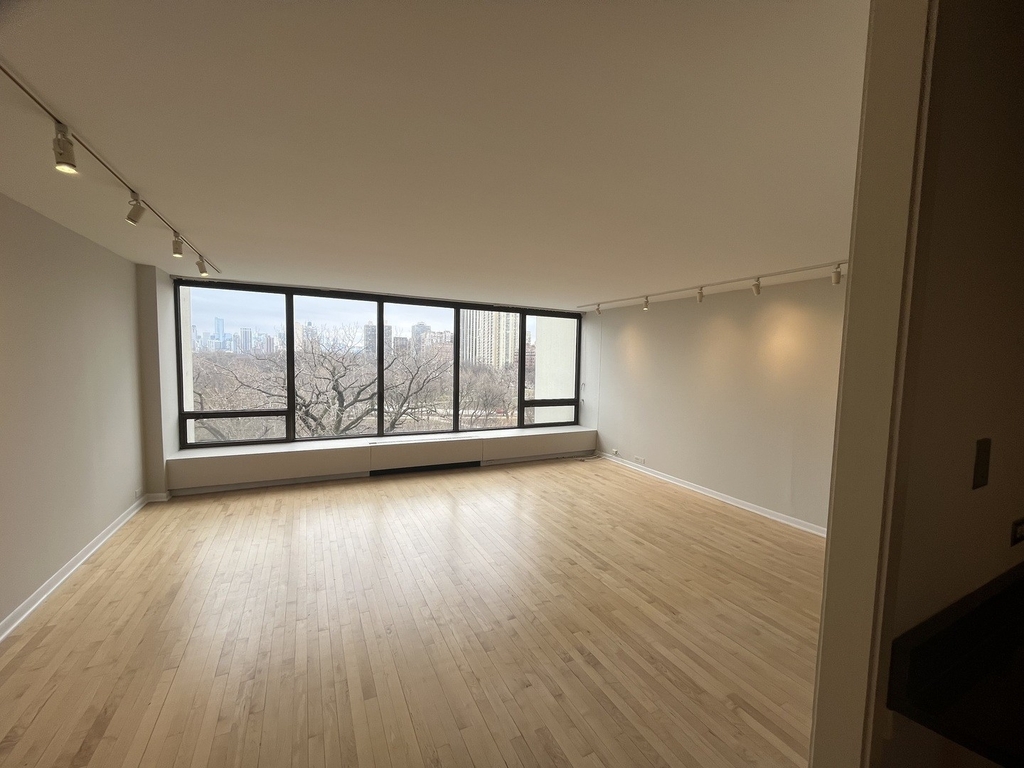 2800 N Lake Shore Drive - Photo 1