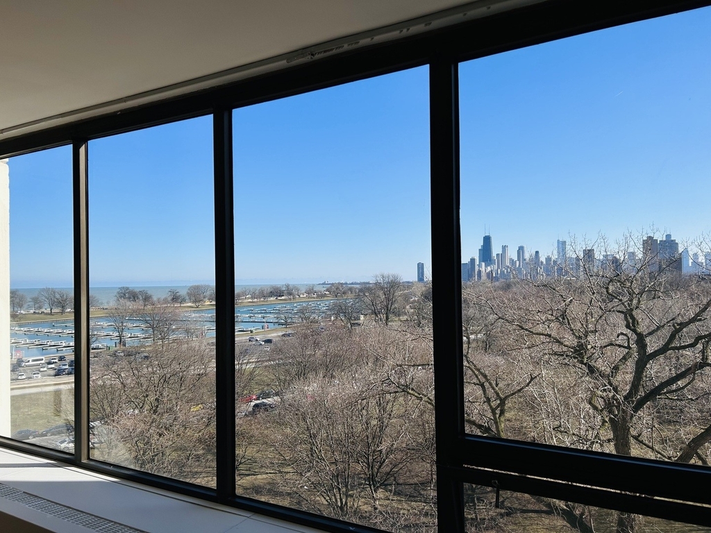 2800 N Lake Shore Drive - Photo 13