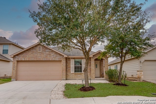 11934 Dove Ranch - Photo 2