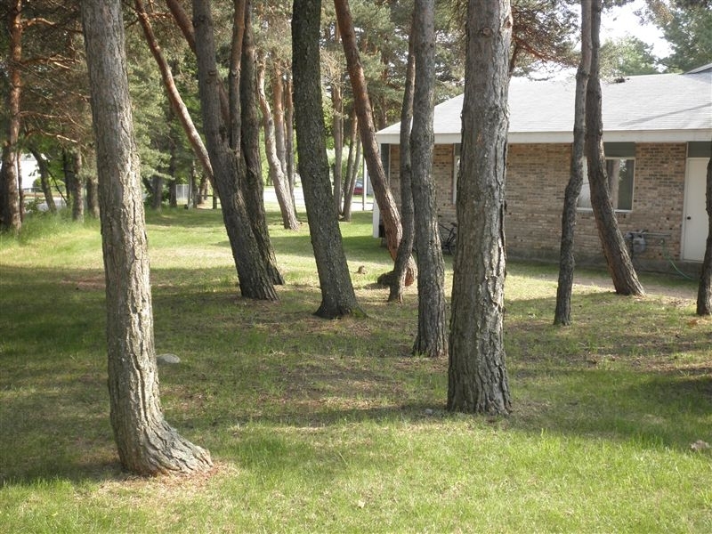 500 Windmere Pines Ct - Photo 22
