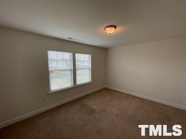 3209 Lacewing Dr - Photo 26