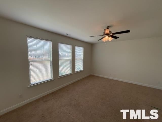 3209 Lacewing Dr - Photo 5