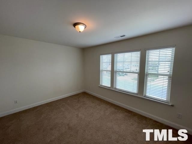 3209 Lacewing Dr - Photo 24