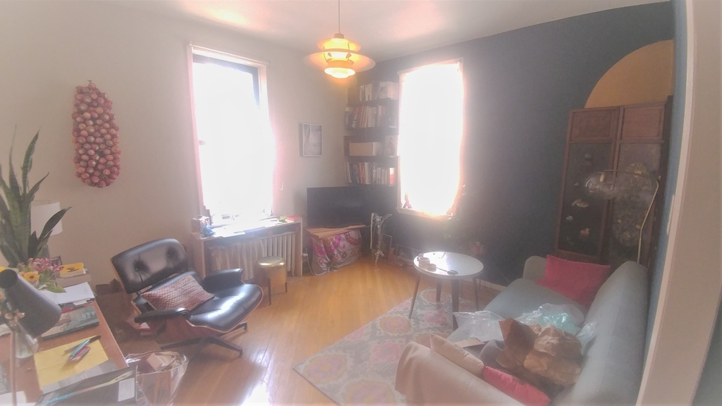 169 Hester Street - Photo 6