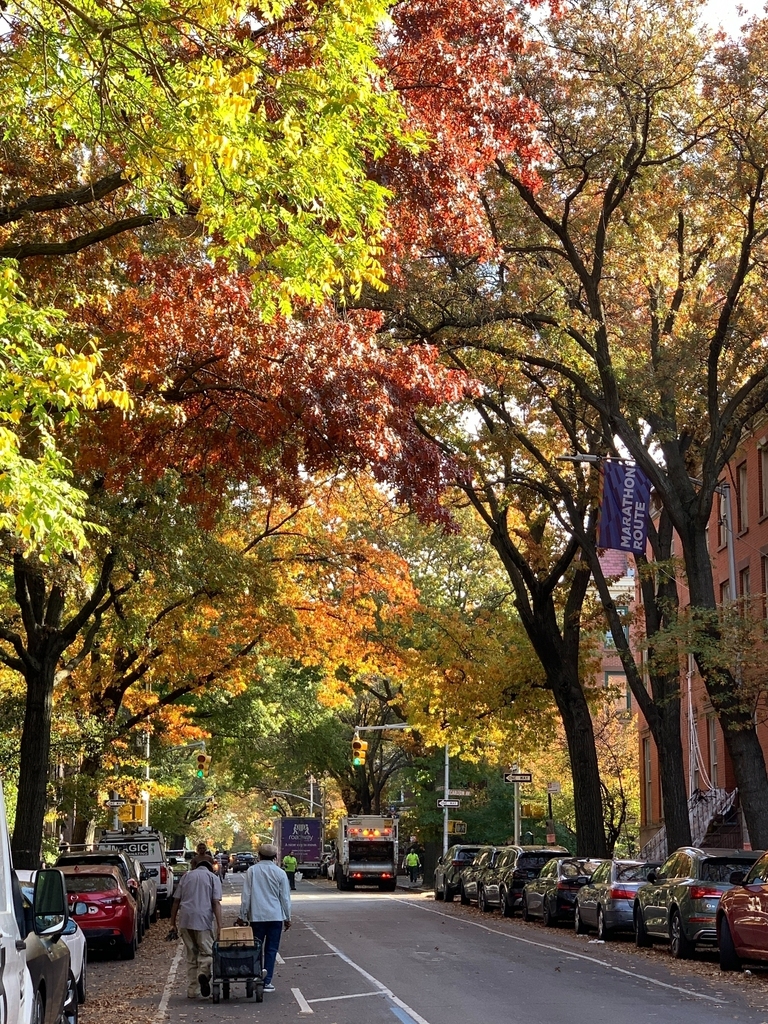 Cumberland Street/Fort Greene Park - Photo 16