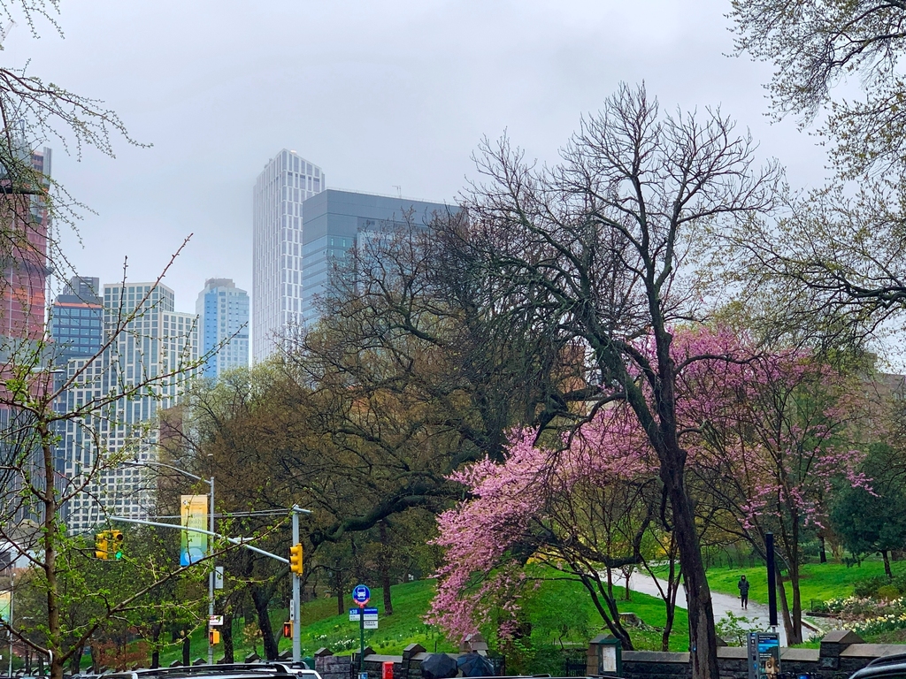 Cumberland Street/Fort Greene Park - Photo 17