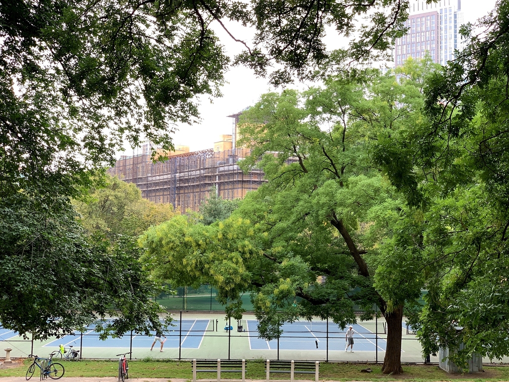 Cumberland Street/Fort Greene Park - Photo 15