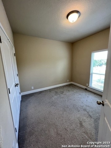 23819 Stately Oaks - Photo 48