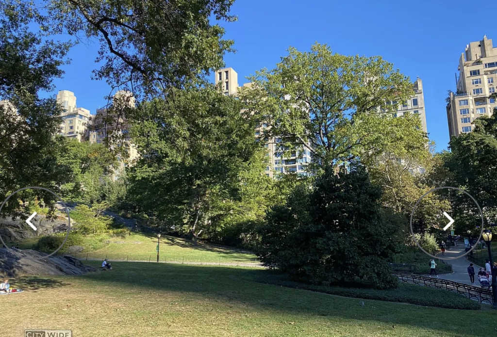 139 West 55th Street - Photo 8