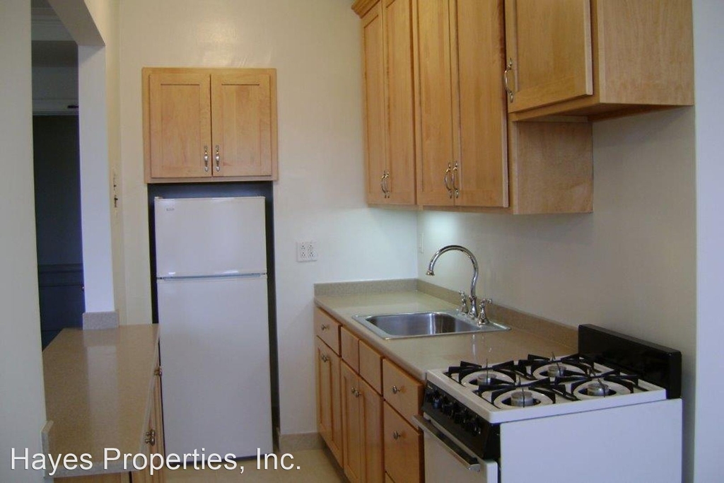 415 W. Fullerton Parkway - Photo 1