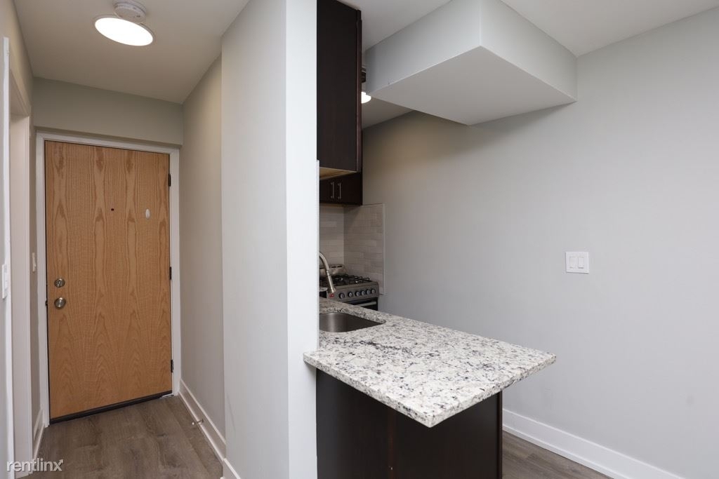 445 W. Barry, Unit 912 - Photo 6