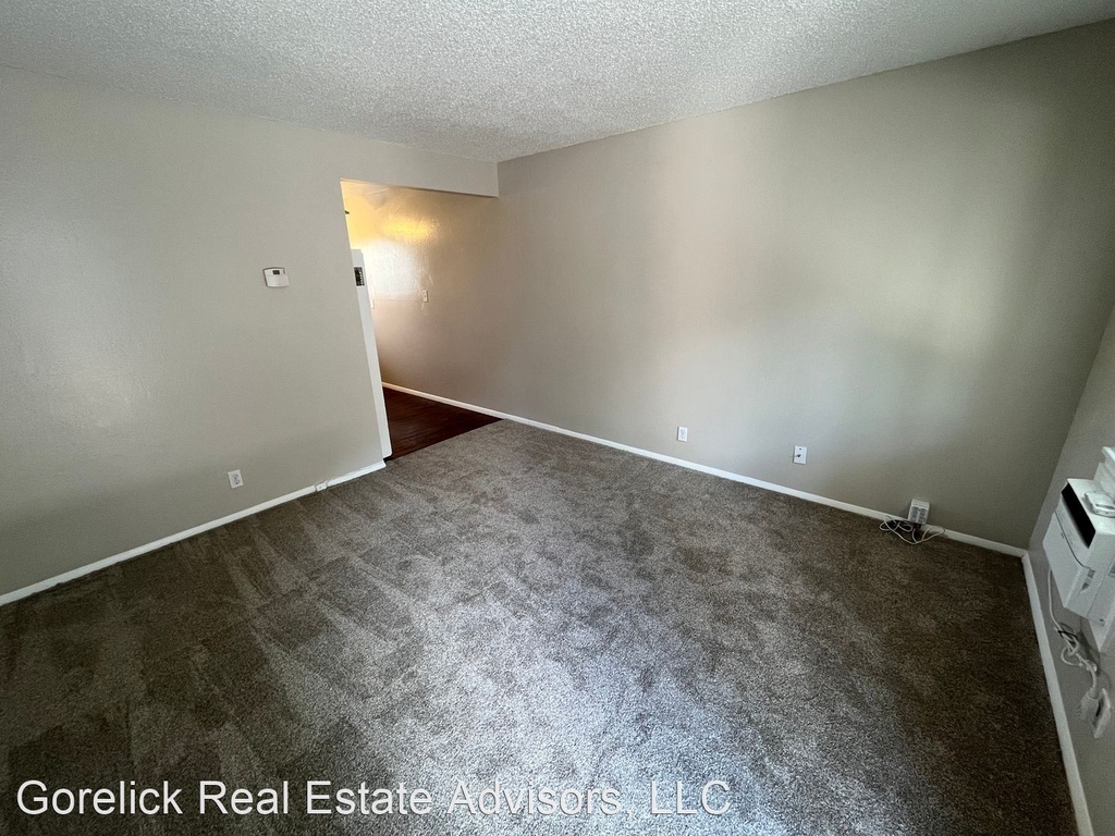 720 Plumas Street - Photo 12