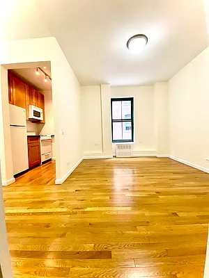 527 East 78th Street - Photo 1