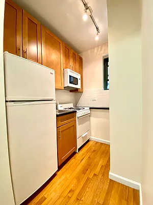 527 East 78th Street - Photo 2