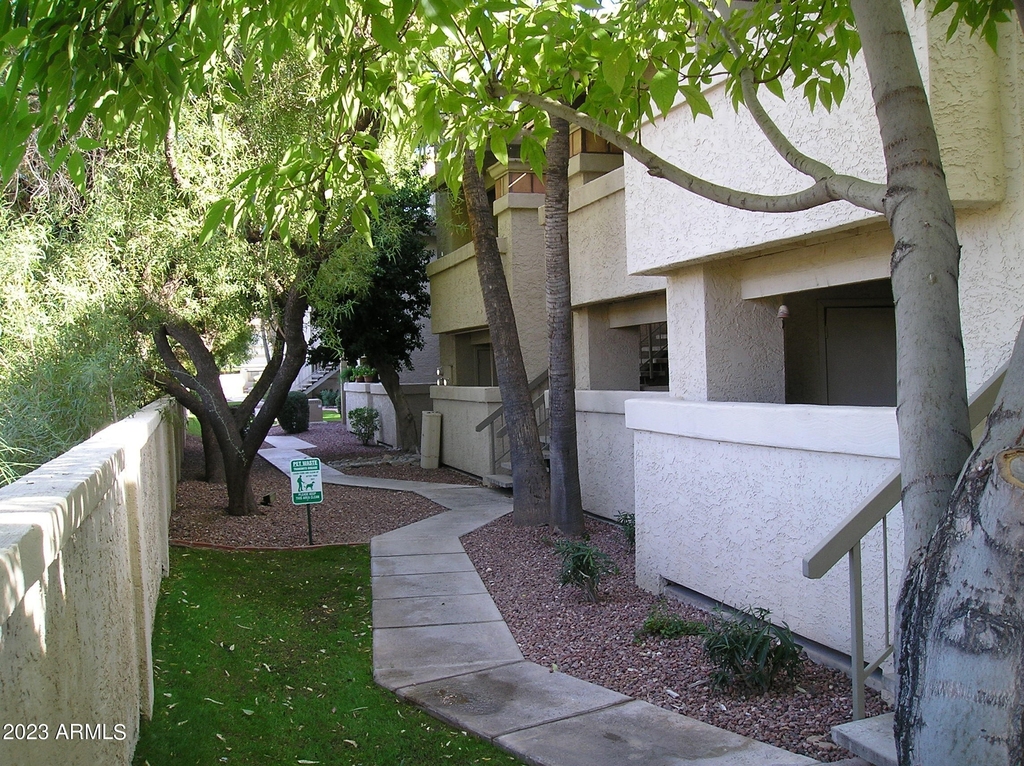 10410 N Cave Creek Road - Photo 3