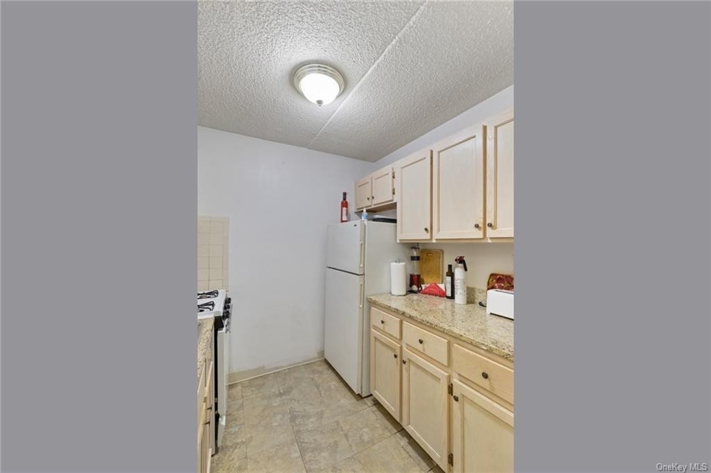 151 W 117th Street - Photo 4