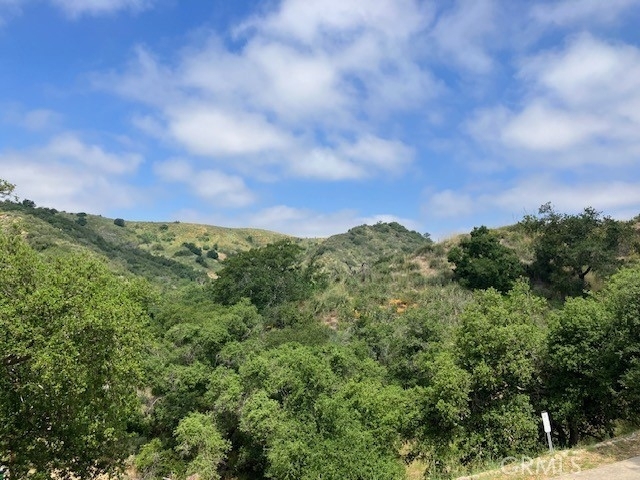 20482 Live Oak Canyon Road - Photo 47