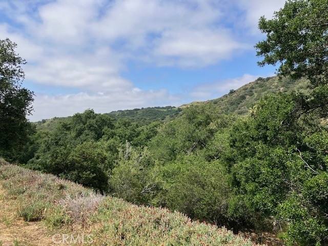 20482 Live Oak Canyon Road - Photo 45