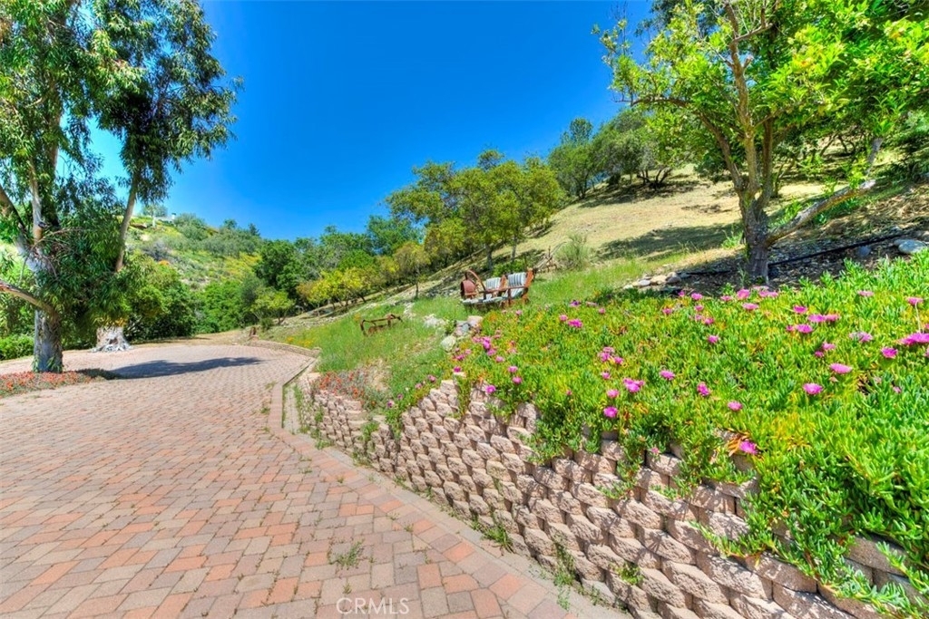 20482 Live Oak Canyon Road - Photo 26