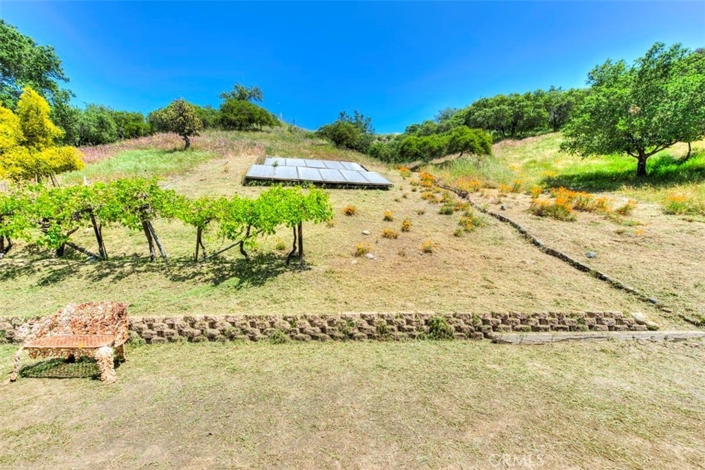 20482 Live Oak Canyon Road - Photo 4