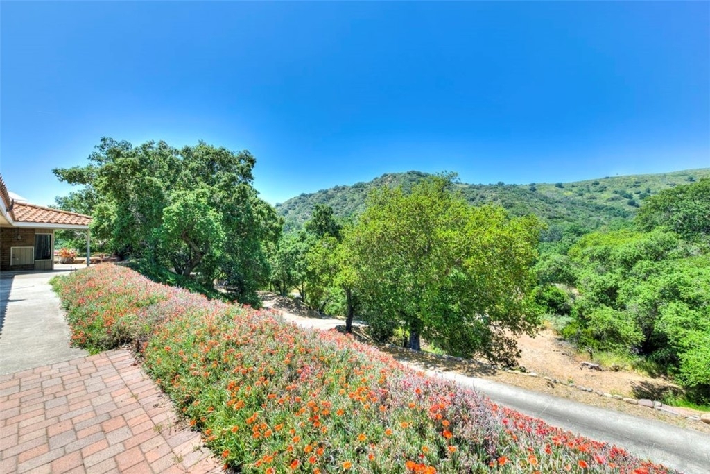 20482 Live Oak Canyon Road - Photo 24