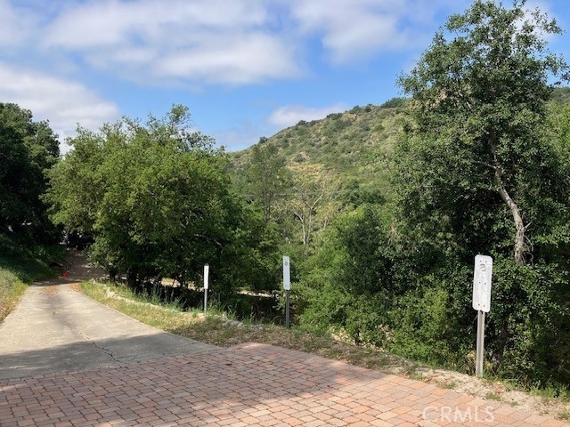 20482 Live Oak Canyon Road - Photo 49