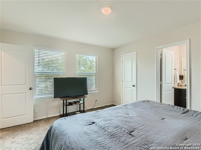 15347 Shortwing - Photo 15