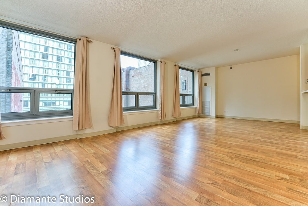 440 N Wabash Avenue - Photo 3