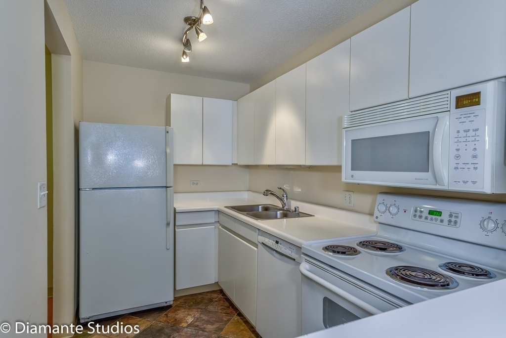 440 N Wabash Avenue - Photo 4