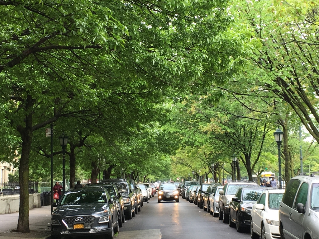 Eastern Parkway/PRIME CROWN HEIGHTS - Photo 2