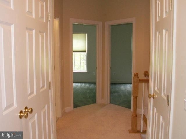 9209 Point Replete Drive - Photo 14